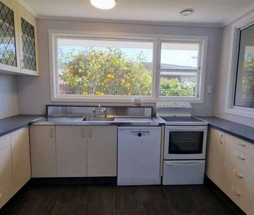 Sunny 3-Bedroom Brick Beauty in Westown - Photo 3