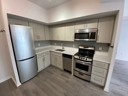 For Lease - 36 Lisgar Street Unit# ph02, Toronto, Ontario - Photo 1