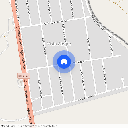AV LUCERNA #59, Colonia Vista Alegre, C.P. 20290, Aguascalientes