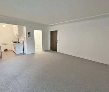 Bright and Spacious Studio for Rent in the West End - Photo 3