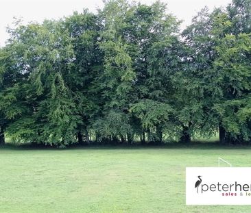 Crow Lane, Middle Herrington, Sunderland, Tyne & Wear, SR3 3TE - Photo 5