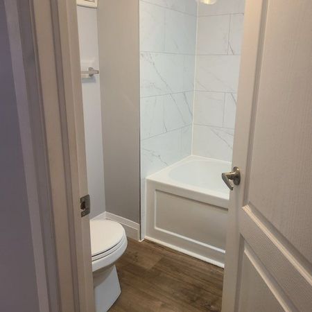 For Lease - 454 Drew Street Unit# Lower, Oshawa, Ontario - Photo 4