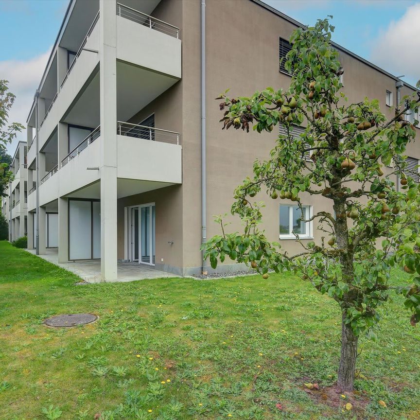 2.5 Zimmer, 58 m², EG - Foto 1