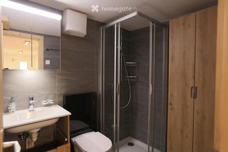 Renovierte Wohnung inkl. grossem Keller im sonnigen Hohtenn - Photo 4