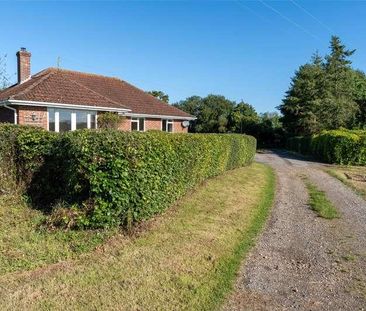 Horton Road, Woodlands, Wimborne, Dorset, BH21 - Photo 6