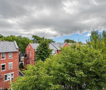 For Lease - 76 Munro Street Unit# 2, Toronto, Ontario - Photo 6