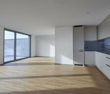 Spiserstrasse 6 , 8047 Zürich - Photo 1