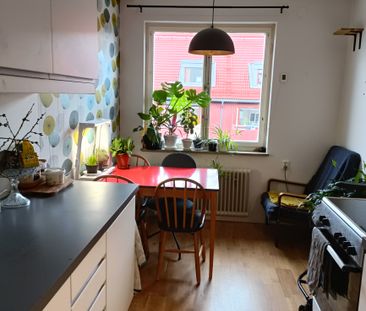 Karolinagatan, Solna - Photo 5