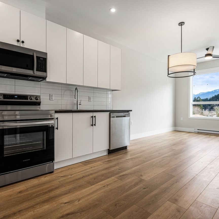 MCGILL - 413 - MG413 - Photo 1