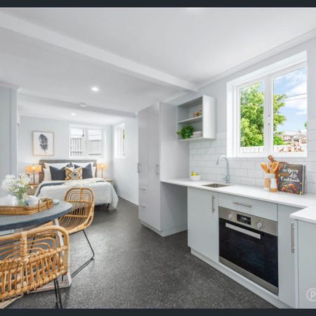 Annerley Studio, Partially Furnished - Photo 4