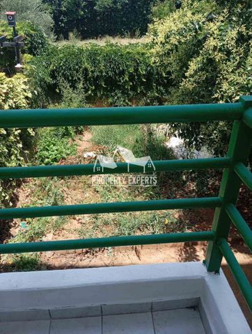 Μεζονέτα για ενοικίαση Αλεξανδρούπολη - Photo 5