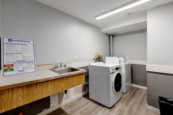 Renovated Suite - 1 Bedroom - Photo 1