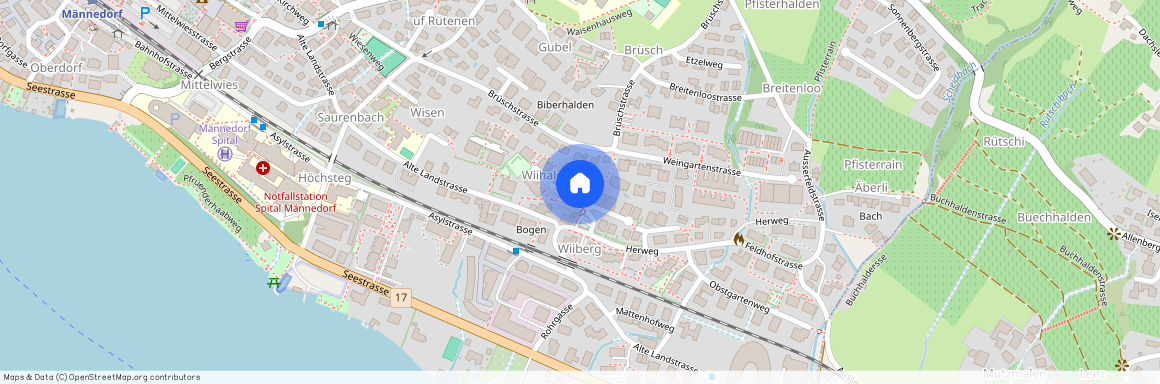 Mooshaldenstrasse 40, 8708, Männedorf