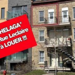 4 1/2 - Montréal (Hochelaga / Maisonneuve) - 1 750 $/mois - Photo 2