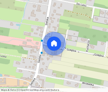 Blizniak 200 m2 z tarasem i pięknym ogrodem - Zdjęcie 1