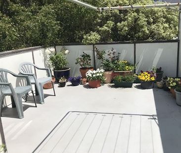 SHARED RESIDENTAL DWELLING IN POPULAR HATAITAI - Photo 5