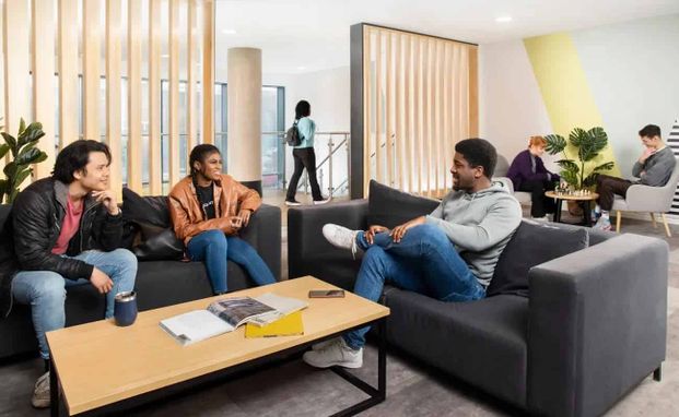 Large Highest Double Studio - Photo 1