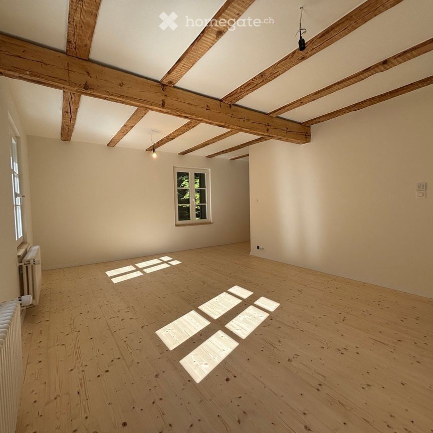 Komplett saniertes, familienfreundliches Einfamilienhaus mit grossem Garten und Bach - Photo 1