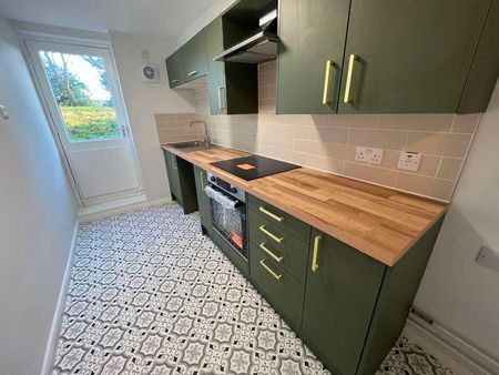 Basement Flat, Christchurch Street, IP4 - Photo 2