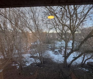 For Lease - 75 Bolton Avenue, Newmarket, Ontario - Photo 5