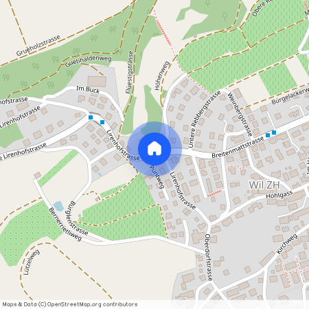 Auf Anfrage, 8196 Wil ZH