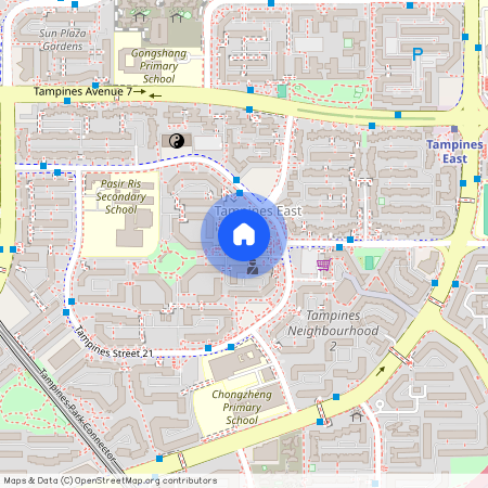 262 Tampines Street 21 (520262), Singapore