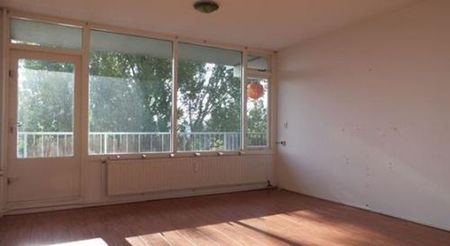 Milanenhorst 2317 CL Leiden - Photo 3