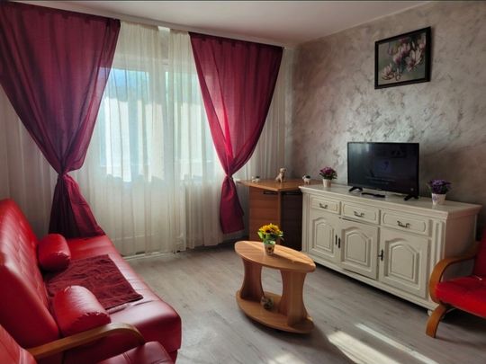Inchiriere Apartament 2 Camere semidecomandat Vlahuta ITC si Florilor pet friendly - Fotografie 1