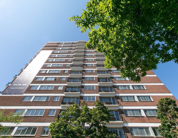 À louer / Appartement - Photo 1