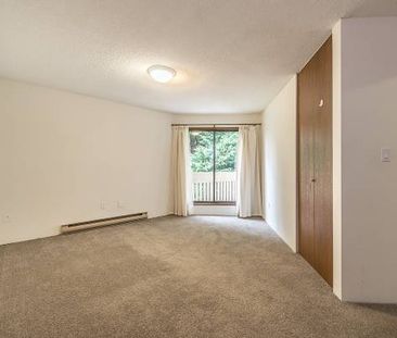 Quadra Woods - 1 Bedroom - Available February 1st - Photo 3