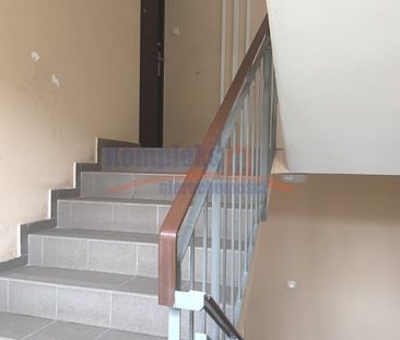 Golęcino, ul. Pokoju, Szczecin - Zdjęcie 5