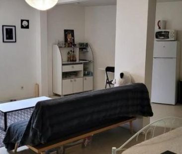 Appartement à louer, 1 pièce - Angers 49100 - Photo 2