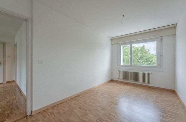 Schöne 3.0 Zimmerwohnung in Benglen - Foto 1