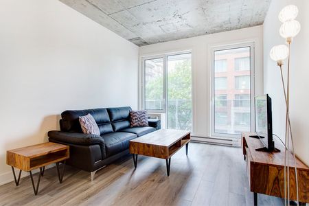 Condo for rent, Montréal (Ville-Marie) - Photo 2