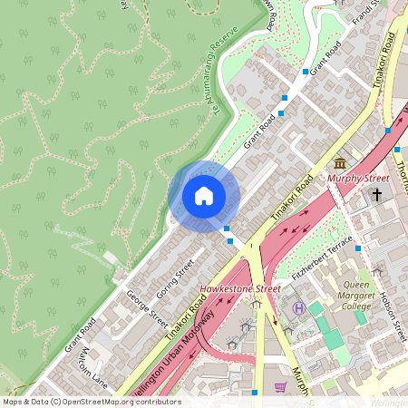 87 Grant Road, Thorndon, Wellington