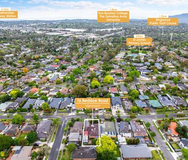 16 Beddoe Road, VERMONT, VIC - Photo 4