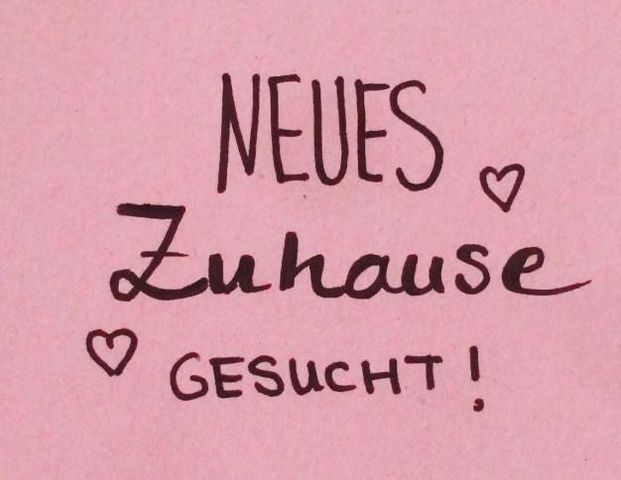 Wir suchen eine 3Zimmer Wohnung - Foto 1