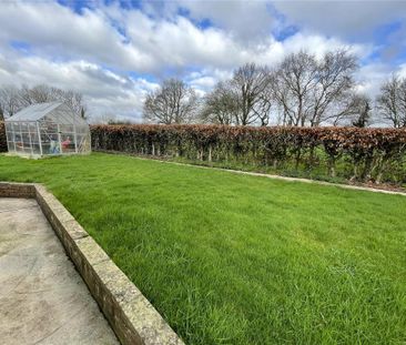 4 bedroom bungalow to rent - Photo 3