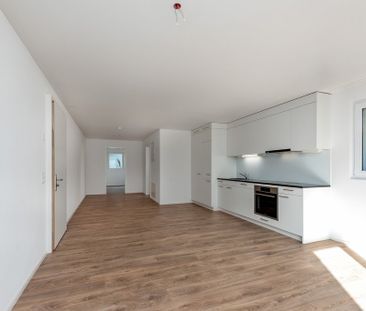 Wohnung nahe Altstetten Bahnhof - Stadt und Natur vereint - Photo 3