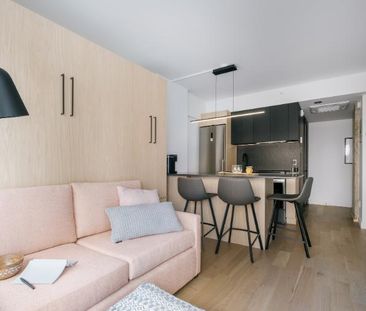 Loft entièrement meublé à louer Saint-Jean-Baptiste août 2026 - Photo 4