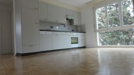 3.5 Zimmer Wohnung - Photo 5