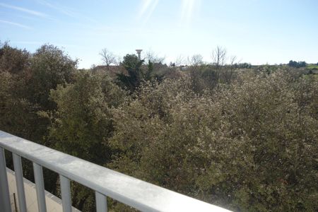 Location Appartement 2 pièces 41m² CASTELNAU LE LEZ 34170 - Photo 4