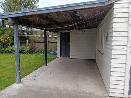Waipuna Street, Mahora - Photo 2