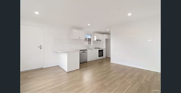 MODERN TWO-BEDROOM GRANNY FLAT IN POPULAR COASTAL SWANSEA - Photo 1