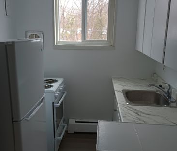 165 Godfrey Dr. - Photo 4