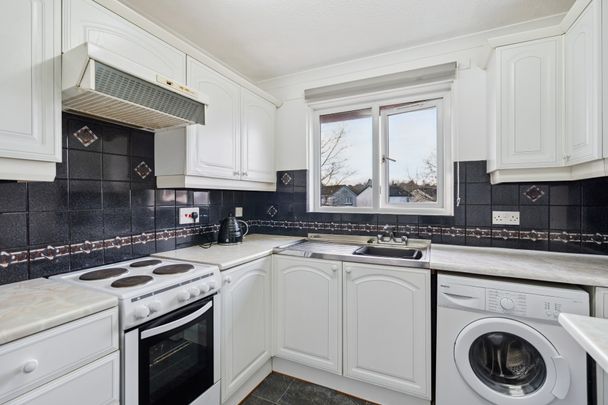 Maurice Avenue - Photo 1