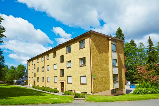 Högagärdsgatan, Borås - Photo 1