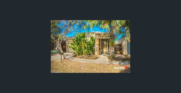 BURBANK EX DISPLAY IN REFLECTIONS ! - Photo 1