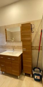 Location Appartement 1 pièce 32m² L ISLE SUR LA SORGUE 84800 - Photo 4