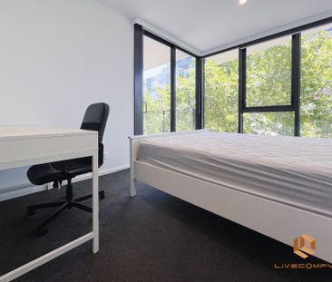 Canberra CBD - Photo 6